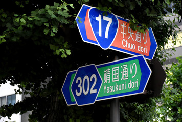 日本の東京都市景観・木の葉が生い茂る（中央通り　１７　靖国通り　３０２）