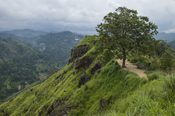 Fototapeta na wymiar Little Adams peak panorama, Ella, Sri Lanka
