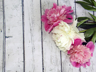 White and pink peonies on a wooden table, picturesque background, rustic style