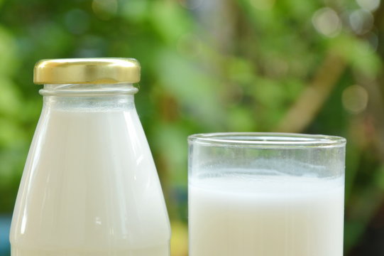 bottle and glass of milk in garden