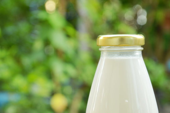 bottle of milk in garden