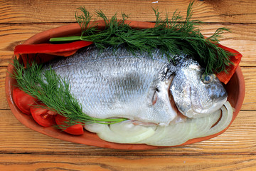 Dorado fish, sea bass prepared for cooking