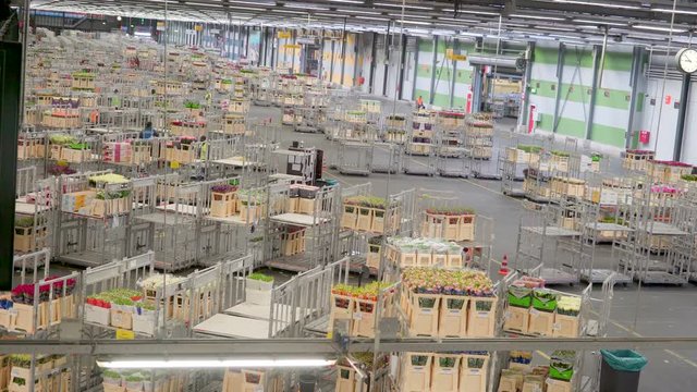 898_Busy_people_working_inside_the_warehouse.mov