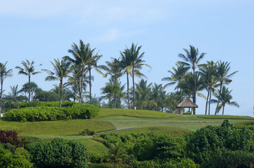A tropical resort with palm trees, green grass, a straw tent and a blue sky