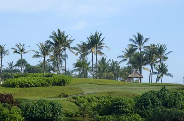 Papier Peint photo Lavable Indonésie A tropical resort with palm trees, green grass, a straw tent and a blue sky