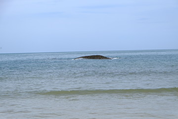 Obraz premium Beach and sea at Huahin
