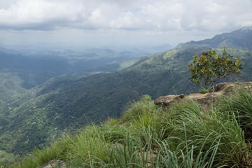 View from Ella Rock, Ella, Sri Lanka