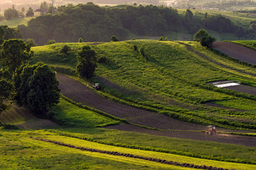 Racławickie pola