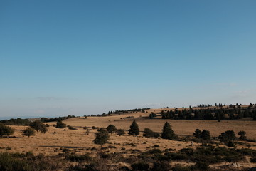 Prairie au coucher de soleil