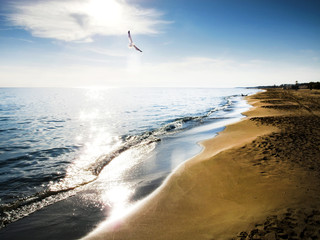 sunny day at beach