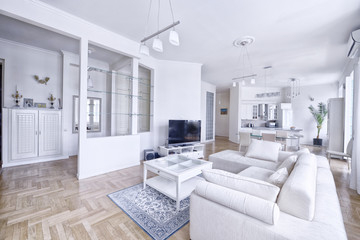 Modern interior room and white spacious apartment.