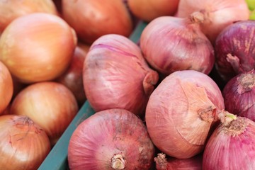 Fresh onion in the market.