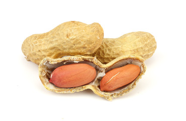 peanuts isolated on the white background