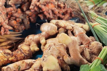 finger root and ginger in the market.