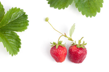 Close up of fresh ripe strawberries and leaves isolated on white background	
