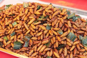 fried insects is delicious in the market.