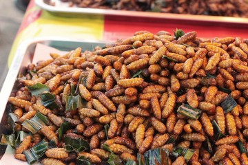 fried insects is delicious in the market.