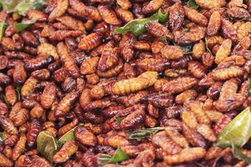 fried insects is delicious in the market.