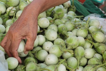 Fresh eggplant in the market.