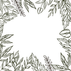 Hand drawn frame of leaves and plants. Vector illustration