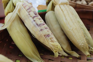 corn boil is delicious in the market.