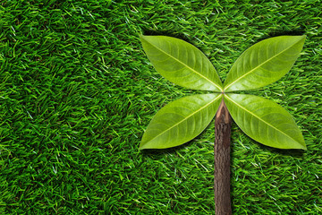 Ecology Concept Background