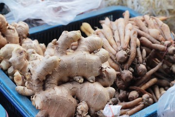 ginger root and ginger in the market.