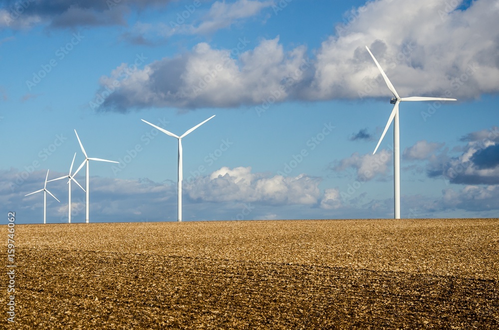 Wall mural wind turbines in a plowed field