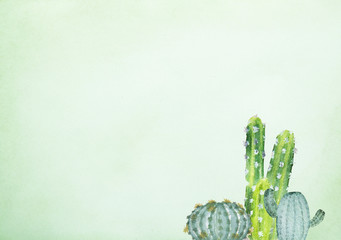 Hand drawn watercolor painting of cactus on green background
