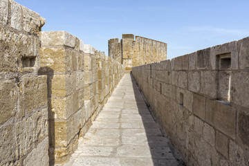 Fototapeta na wymiar Die Festung im Ort Aigues-Mortes, Camargue, Südfrankreich