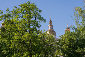 Holy Virgin Monastery Domes