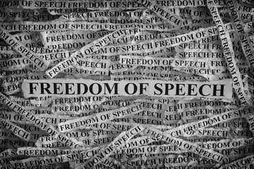 Torn pieces of paper with the words Freedom of speech