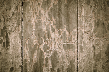 Obraz premium Texture old dirty wood background