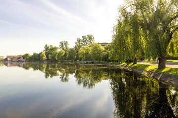 Lake. Mirror reflection of trees in water