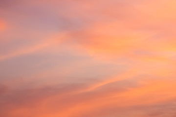 Sunset orange evening light in winter.