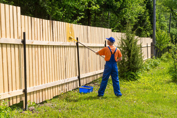 Painter works at wooden fence, painting it with a paint-roller