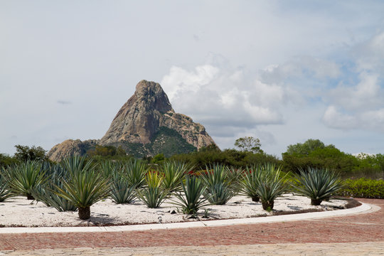 Pe&ntilde;a de Bernal con agaves