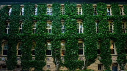 Ivy League