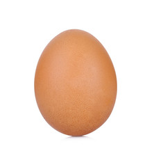 Chicken Egg , egg on white background