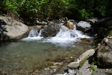 Fototapeta premium Bach in der Natur