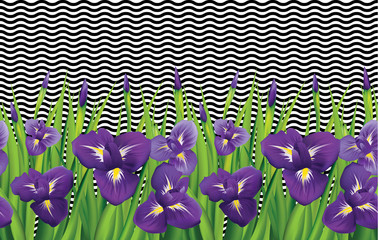 Irises on black lines seamless pattern. Vector Illustration.