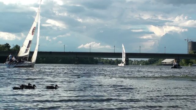 Sailboats on the Dnieper. River banks, bridge, ducks swimming on the water. Kiev, Ukraine. HD 1920x1080 Video Clip