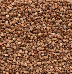 buckwheat is a close-up