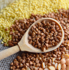 different grains in wooden spoon