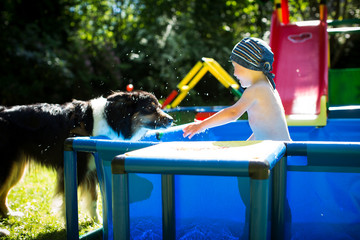 Hund lässt sich nass spritzen