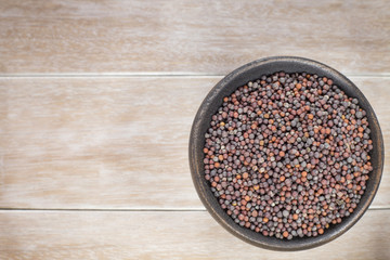 Black Mustard Seeds - Brassica nigra