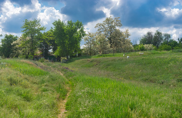 Fototapeta na wymiar Pictorial landscape with pedestrian path to remote house in Ukrainian village Kamians'ke, Zaporizhzhia Oblast