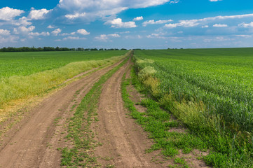 Sunny spring landscape with an earth road among agricultural fields near Dnipro city in central Ukraine