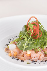 Fresh smoked salmon salad, served with rucola and baby spinach and pieces of vegetables, decorated with herbs, placed on white plate, light background, isolated