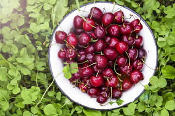 Fresh cherries in bowl